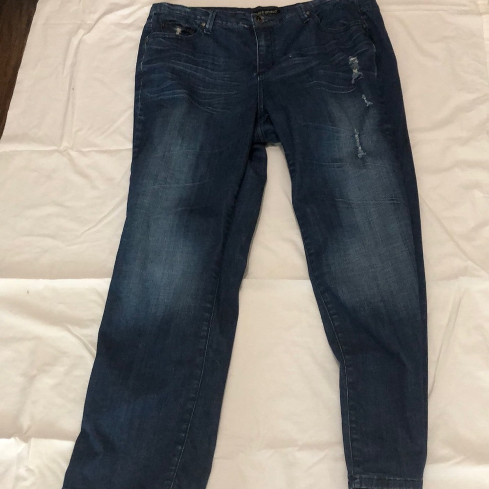 Lane Bryant women’s denim